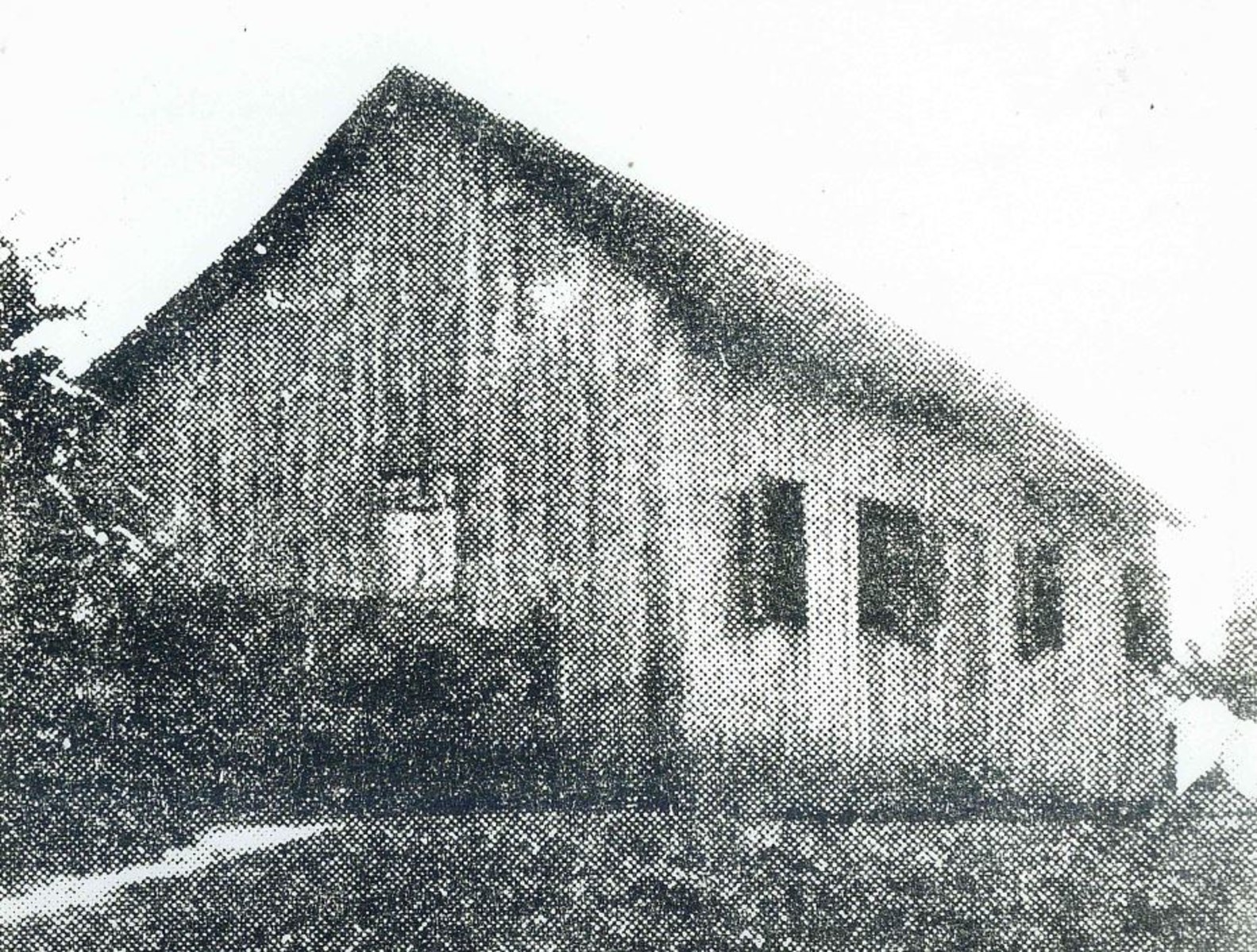 ESDA | Belz, Guilherme (Wilhelm) (1835–1912)